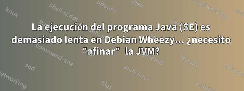 La ejecución del programa Java (SE) es demasiado lenta en Debian Wheezy... ¿necesito "afinar" la JVM?