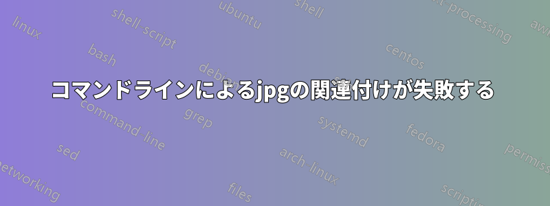 コマンドラインによるjpgの関連付けが失敗する