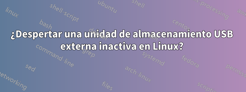 ¿Despertar una unidad de almacenamiento USB externa inactiva en Linux?