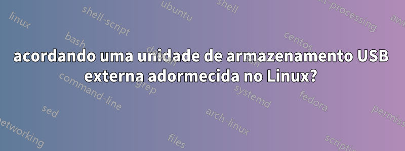 acordando uma unidade de armazenamento USB externa adormecida no Linux?