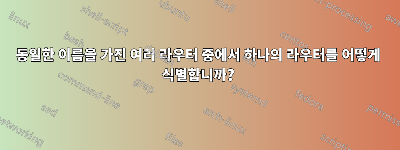 동일한 이름을 가진 여러 라우터 중에서 하나의 라우터를 어떻게 식별합니까?