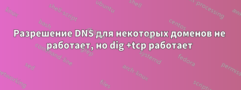 Разрешение DNS для некоторых доменов не работает, но dig +tcp работает