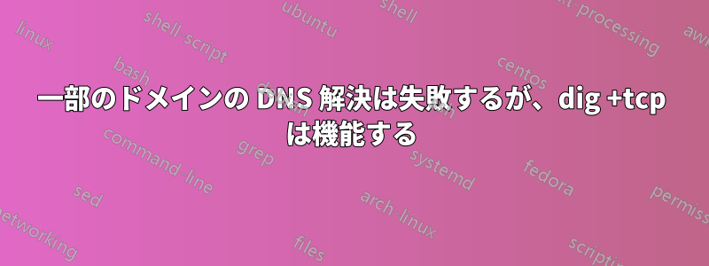 一部のドメインの DNS 解決は失敗するが、dig +tcp は機能する