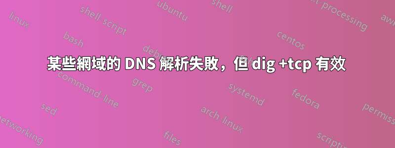 某些網域的 DNS 解析失敗，但 dig +tcp 有效