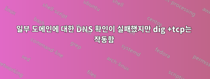 일부 도메인에 대한 DNS 확인이 실패했지만 dig +tcp는 작동함