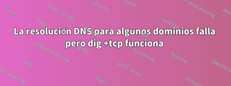 La resolución DNS para algunos dominios falla pero dig +tcp funciona