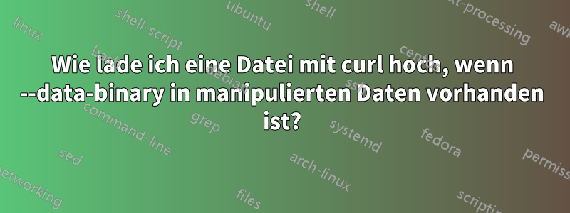 Wie lade ich eine Datei mit curl hoch, wenn --data-binary in manipulierten Daten vorhanden ist?