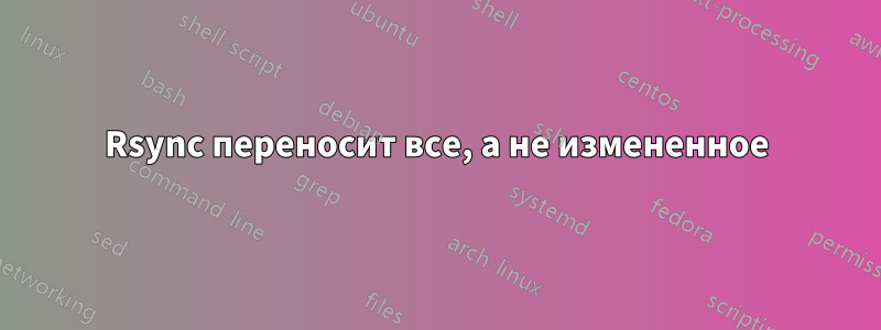 Rsync переносит все, а не измененное