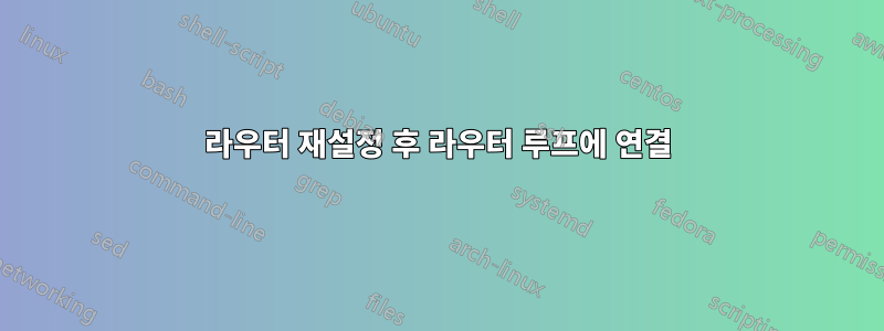 라우터 재설정 후 라우터 루프에 연결