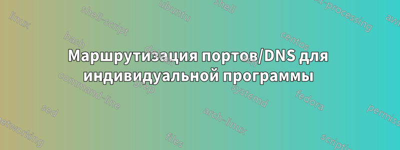 Маршрутизация портов/DNS для индивидуальной программы