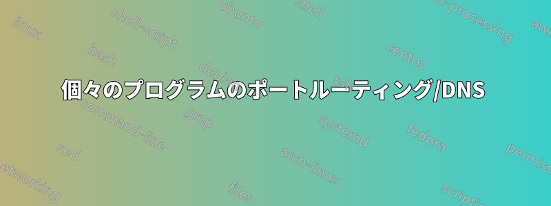 個々のプログラムのポートルーティング/DNS