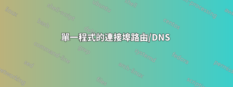 單一程式的連接埠路由/DNS