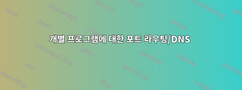 개별 프로그램에 대한 포트 라우팅/DNS