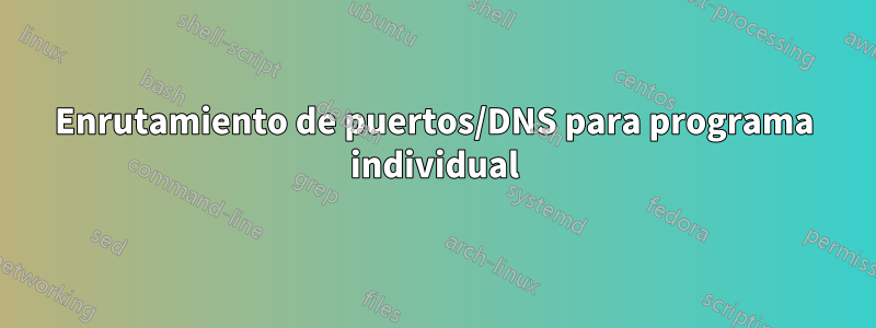 Enrutamiento de puertos/DNS para programa individual