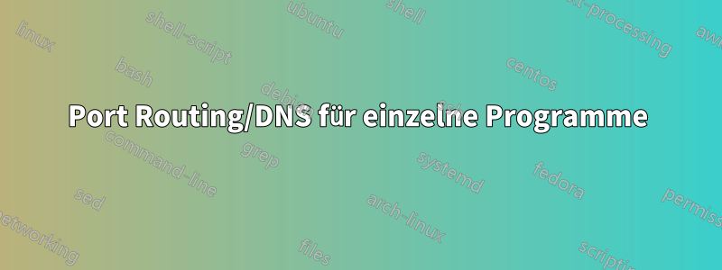 Port Routing/DNS für einzelne Programme