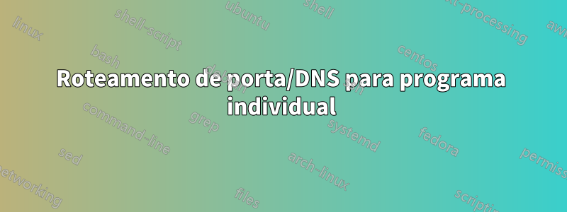 Roteamento de porta/DNS para programa individual