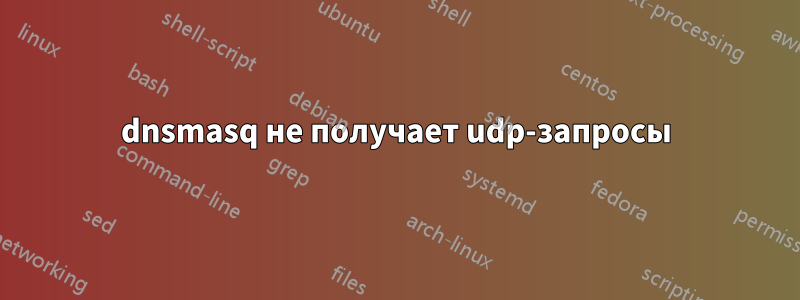 dnsmasq не получает udp-запросы