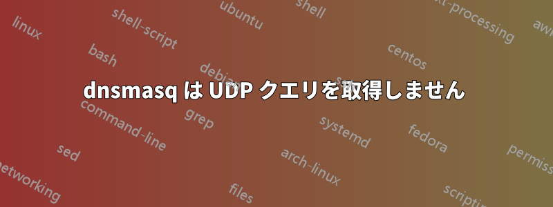 dnsmasq は UDP クエリを取得しません