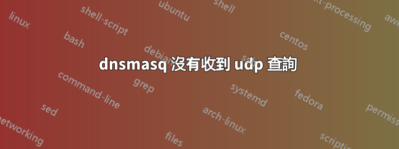 dnsmasq 沒有收到 udp 查詢