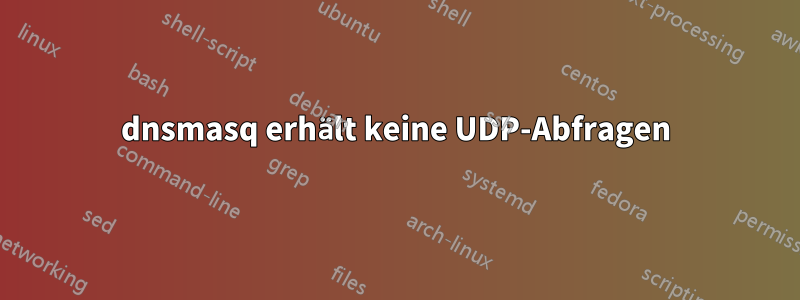 dnsmasq erhält keine UDP-Abfragen