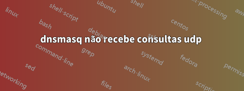 dnsmasq não recebe consultas udp