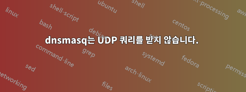 dnsmasq는 UDP 쿼리를 받지 않습니다.