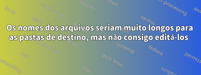 Os nomes dos arquivos seriam muito longos para as pastas de destino, mas não consigo editá-los 