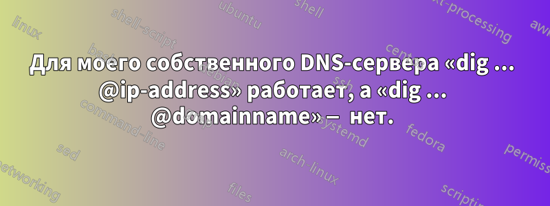 Для моего собственного DNS-сервера «dig ... @ip-address» работает, а «dig ... @domainname» — нет.