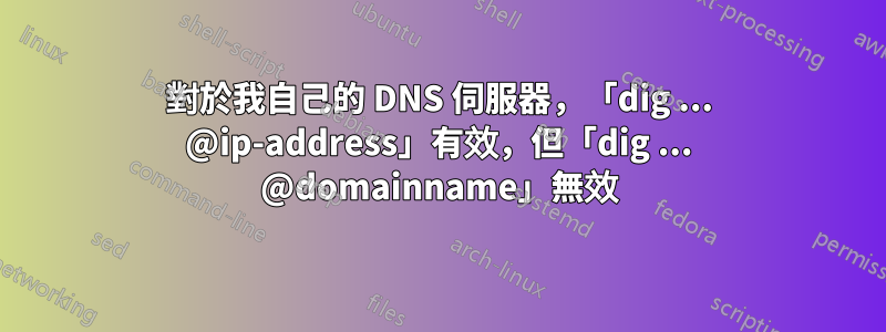 對於我自己的 DNS 伺服器，「dig ... @ip-address」有效，但「dig ... @domainname」無效