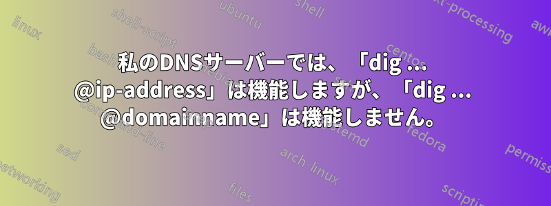 私のDNSサーバーでは、「dig ... @ip-address」は機能しますが、「dig ... @domainname」は機能しません。