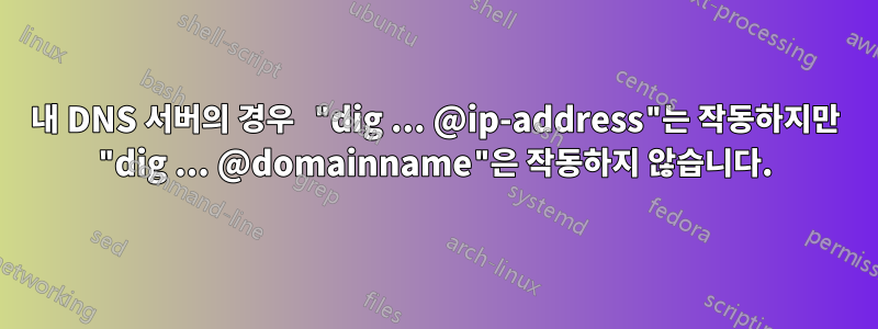 내 DNS 서버의 경우 "dig ... @ip-address"는 작동하지만 "dig ... @domainname"은 작동하지 않습니다.