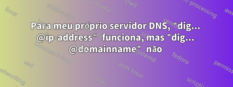 Para meu próprio servidor DNS, "dig... @ip-address" funciona, mas "dig... @domainname" não