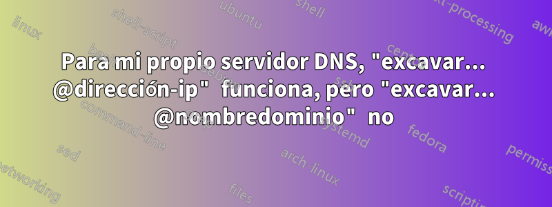 Para mi propio servidor DNS, "excavar... @dirección-ip" funciona, pero "excavar... @nombredominio" no