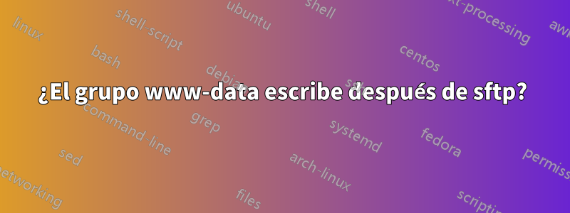 ¿El grupo www-data escribe después de sftp?