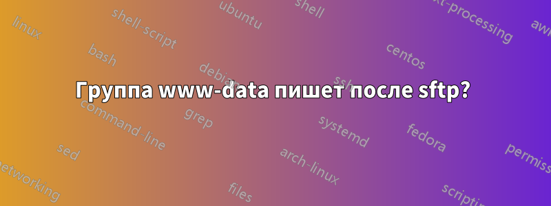 Группа www-data пишет после sftp?