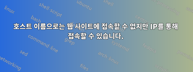 호스트 이름으로는 웹 사이트에 접속할 수 없지만 IP를 통해 접속할 수 있습니다.