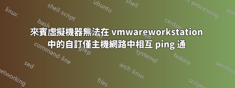 來賓虛擬機器無法在 vmwareworkstation 中的自訂僅主機網路中相互 ping 通