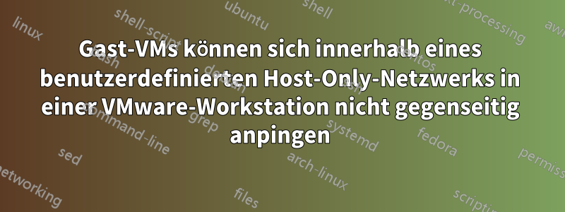 Gast-VMs können sich innerhalb eines benutzerdefinierten Host-Only-Netzwerks in einer VMware-Workstation nicht gegenseitig anpingen