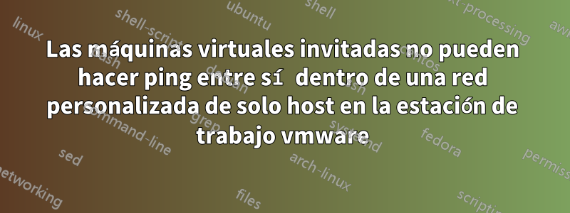 Las máquinas virtuales invitadas no pueden hacer ping entre sí dentro de una red personalizada de solo host en la estación de trabajo vmware