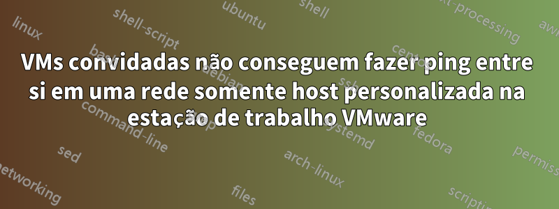 VMs convidadas não conseguem fazer ping entre si em uma rede somente host personalizada na estação de trabalho VMware