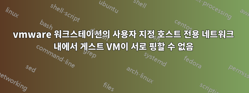 vmware 워크스테이션의 사용자 지정 호스트 전용 네트워크 내에서 게스트 VM이 서로 핑할 수 없음