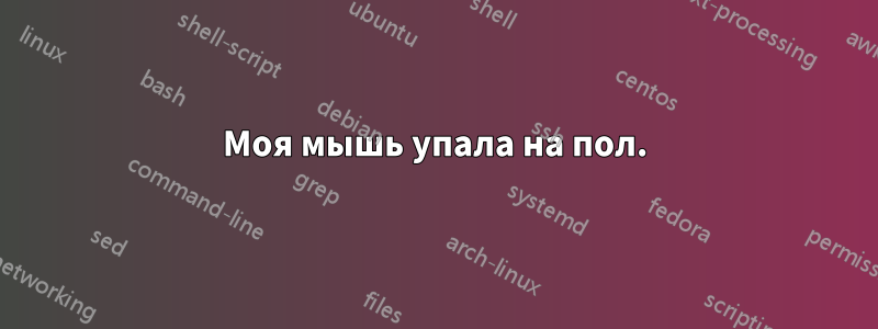 Моя мышь упала на пол.