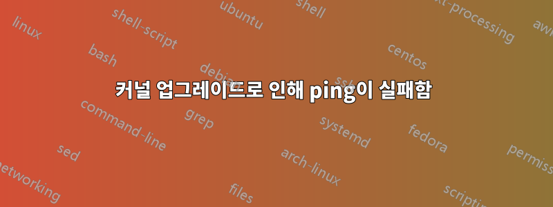 커널 업그레이드로 인해 ping이 실패함