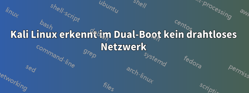 Kali Linux erkennt im Dual-Boot kein drahtloses Netzwerk