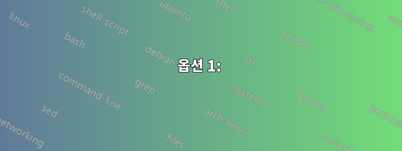 옵션 1: