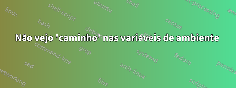 Não vejo 'caminho' nas variáveis ​​de ambiente