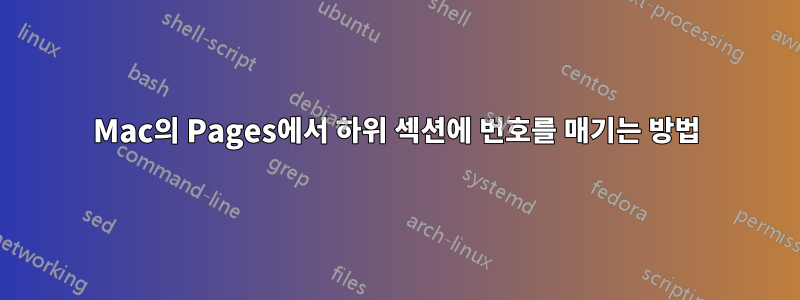 Mac의 Pages에서 하위 섹션에 번호를 매기는 방법