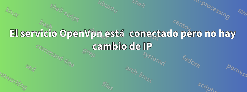 El servicio OpenVpn está conectado pero no hay cambio de IP