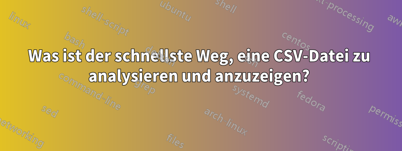 Was ist der schnellste Weg, eine CSV-Datei zu analysieren und anzuzeigen?