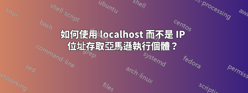 如何使用 localhost 而不是 IP 位址存取亞馬遜執行個體？